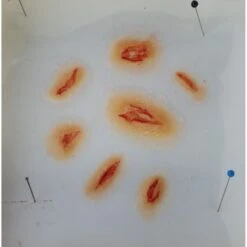 Prothèses Transfert - Coups Et Blessures -Halloween Cosplay Magasin protheses transfert coups et blessures 4