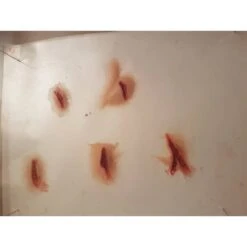 Prothèses Transfert - Coupures -Halloween Cosplay Magasin protheses transfert coupures 2