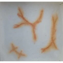 Prothèses Transfert - Vieilles Cicatrices